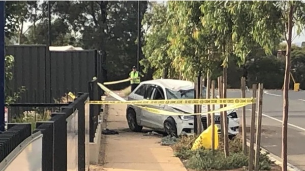 Tiền đạo Australia nhận hung tin sau trận thua UAE tại Asian Cup_691f07dc30178.jpeg