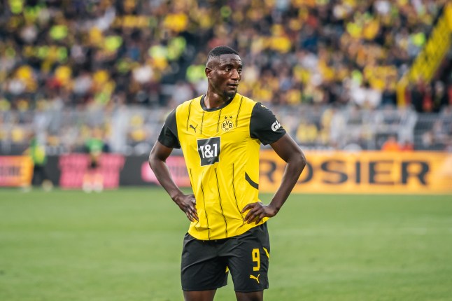 Thương vụ Chelsea – Guirassy ngã ngũ chóng vánh_695a720c43cd9.jpeg